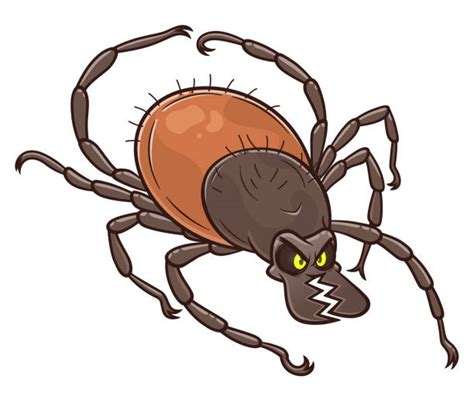 900 Drawing Of A Ticks Bugs Stock Illustrations Royalty Free Vector