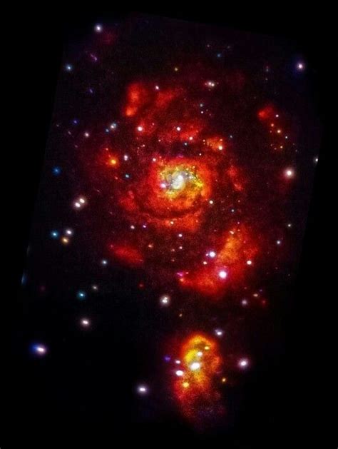 3 Color X Ray View Whirlpool Galaxy Astronomy Whirlpool Galaxy