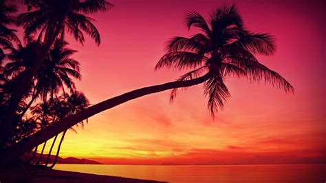beach sunset desktop wallpapers top những hình Ảnh Đẹp