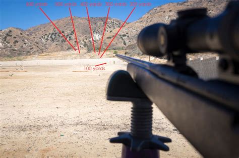 How To Sight In Your Rifle For The Perfect Long Range Shot Shooting