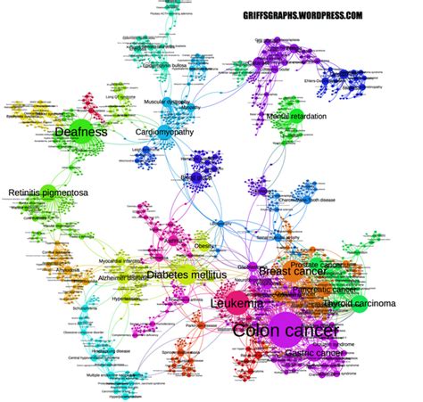科学网—human Disease Network Graph 李杰的博文