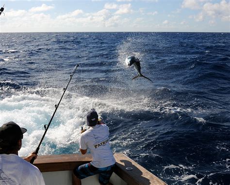 Tag And Release Competition Update News The Billfish Foundation