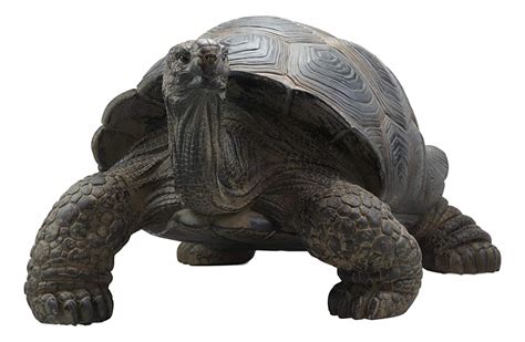 Ebros T Realistic Lifelike Galapagos Giant Tortoise Statue 1725
