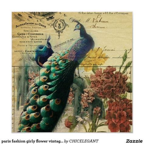 Paris Fashion Girly Flower Vintage Peacock Poster Vintage Modern