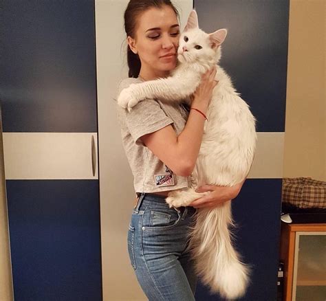 Massive Fluffy Kitten Grows Up Hugging His Human Whenever He Can