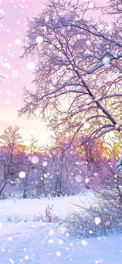 1080p Free Download Pink Snow Pink Winter Aesthetic Hd Phone