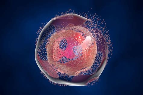Though they may be small, cells are what make up the human body. Ten Facts About Cells and Cell Function