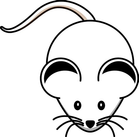 Cartoon White Mouse Clipart Free Download Transparent Png Creazilla