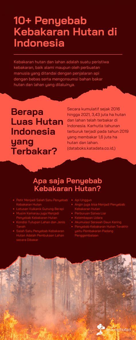 Penyebab Kebakaran Hutan Di Indonesia Blog LindungiHutan