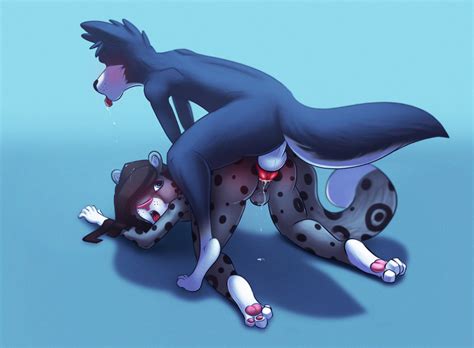Rule 34 Agape Muzzle All Fours Anal Anal Sex Anthro Blue