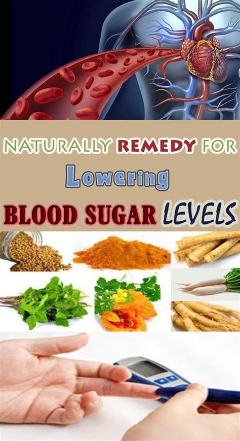 How To Control Blood Sugar Naturally How To Control Low Blood Sugar