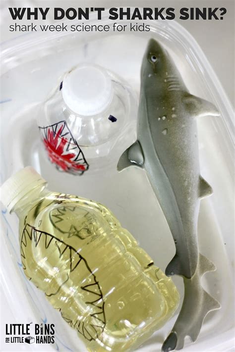 A diagram is a parent of structure diagram and behavior diagram. Shark Science Activity Exploring Buoyancy with Kids
