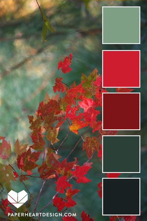 Red Color Palette Red Teal Leaves Red Colour Palette