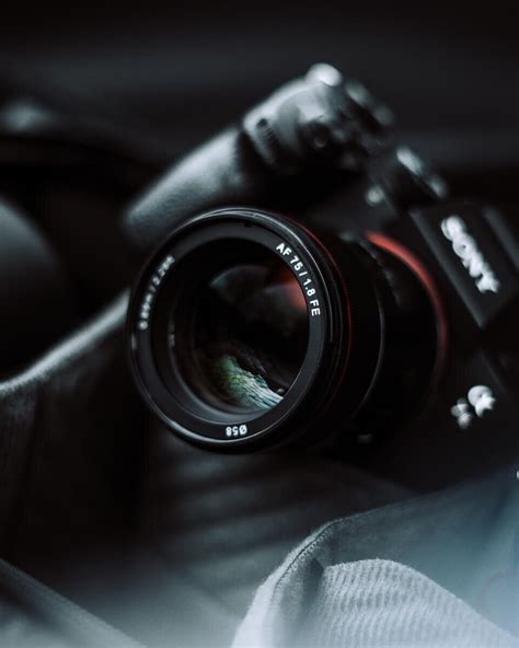 Hands On With The All New Samyang Af 75mm F18 Fe Lens — Cuno De Bruin