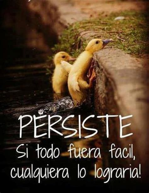 Debemos aceptar nuestras limitaciones, para confiar plenamente en dios que nos salva. Imágenes con frases de dios para dar fortaleza | Imagenes ...