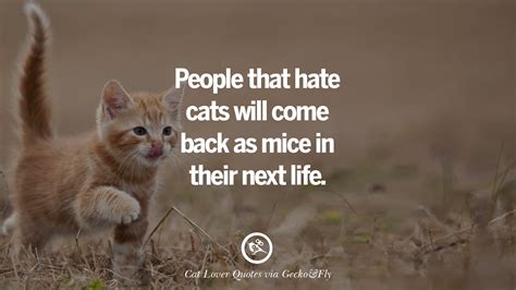 Contact catapillar equipment on messenger. 25 Cute Cat Images With Quotes For Crazy Cat Ladies, Gentlemen And Lovers