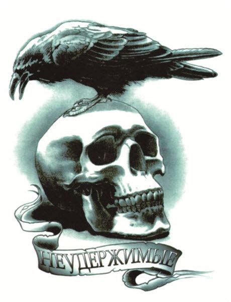 Discover 79 Raven And Skull Tattoo Thtantai2