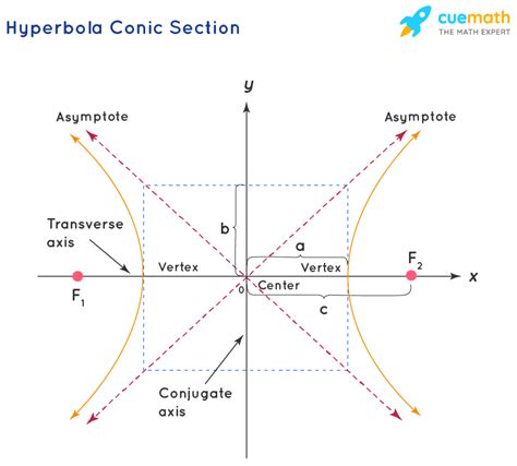 Conic Section Definition Formulas Equations Examples