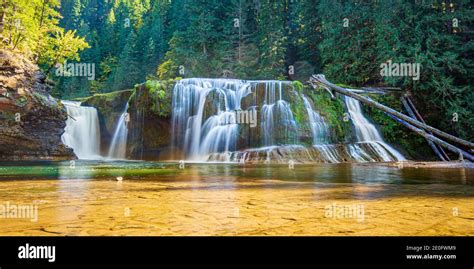 Lower Lewis Falls In Ford Pinchot National Forest Washington Stock