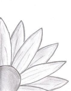 Remember, drawing practice is as important as the materials you use. easy drawings for beginner artists - Google Search | Daisy ...