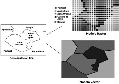 Introducir Imagen Modelo De Datos Vectorial Abzlocal Mx