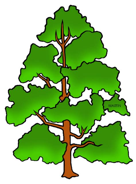 Poplar Seeds Clipart 20 Free Cliparts Download Images On Clipground 2024