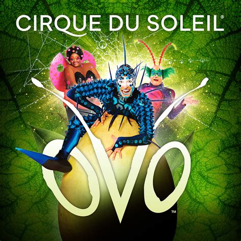 Cirque Du Soleil Ovo Berrys Coaches