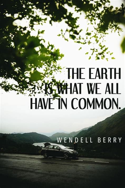 40 Best Environmental Quotes To Inspire You To Save The Planet