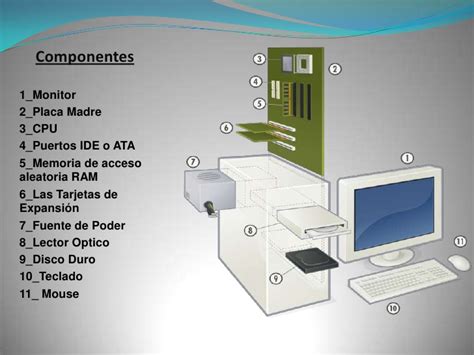 La Computadora Y Sus Partes