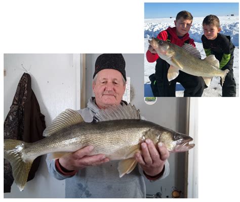 Ice Fishing Packages | Cyrus Resort Lake of the Woods, MN