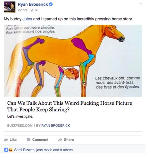 Facebook Appears To Think This Picture Of A Horse Is Porn And Wont Let