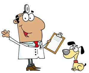 Vet Cartoon