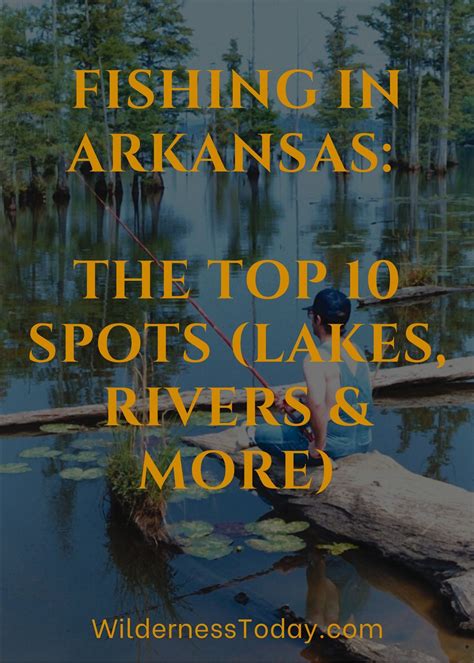 Fishing In Arkansas The Top 10 Spots Lakes Rivers And More Lake