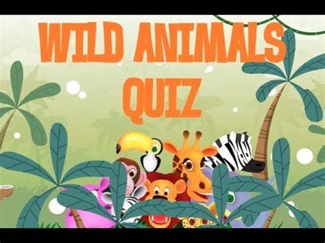 Wild Animals Quiz - YouTube
