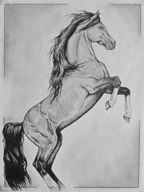 Horse By Ashtwin On Deviantart Equine Art Pencil Drawings Pencil