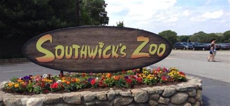 Southwicks Zoo A Hidden Ma Gem Chowdaheadz Blog Zoo Southwick