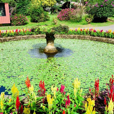Royal Botanical Gardens Peradeniya 2023 Alles Wat U Moet Weten