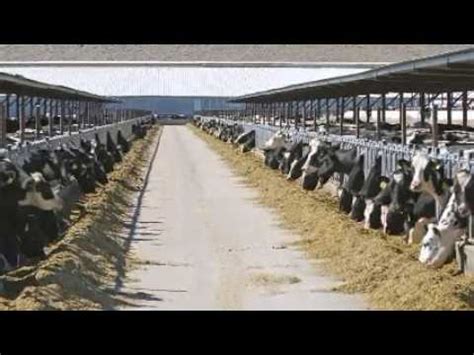 How To Become An Animal Nutritionist