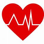 Heart Icon Medical Rate Healthcare Pulse Cardiogram