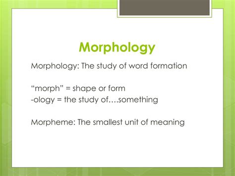 Ppt Morphology Powerpoint Presentation Free Download Id2670477