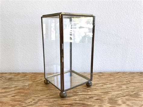 Upright Glass Box Glass Brass Curio Box Vertical Glass Display Case W Door Lidded Glass Brass