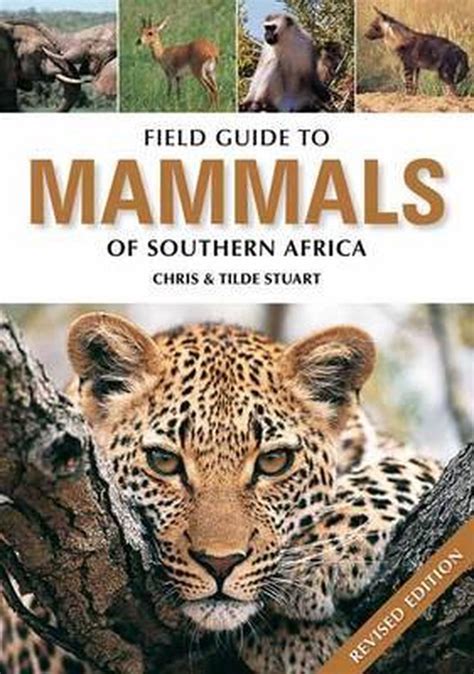 Field Guide To Mammals Of Southern Africa Chris Stuart