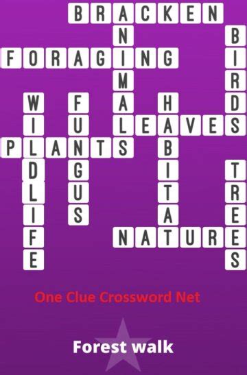 Forest Walk Bonus Puzzle Get Answers For One Clue Crossword Now