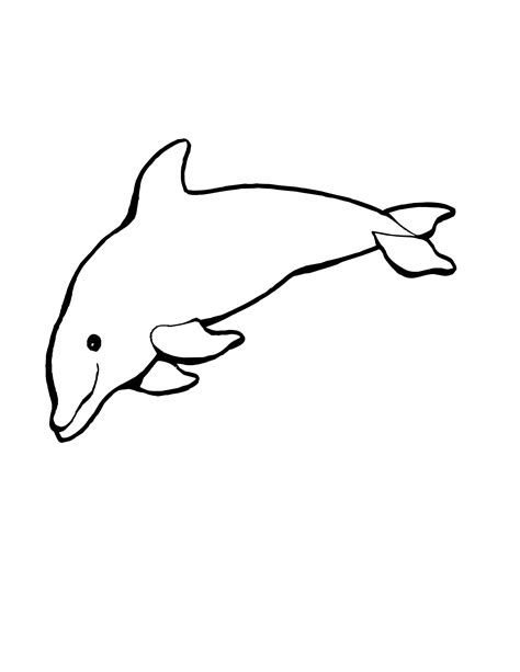 Friendly Underwater Creature 20 Dolphin Coloring Pages Free Printables