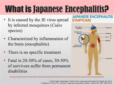 My Mom Friday What You Should Know About Japanese Encephalitis