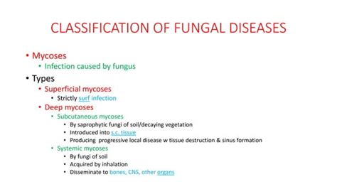 Superficial Mycoses Ppt