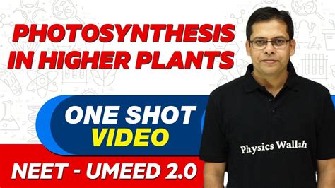 Photosynthesis In Higher Plants In Shot All Concepts Tricks Pyqs