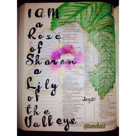 I Am A Rose Of Sharon Lily Of The Valleys Song 21 Journaling Bible