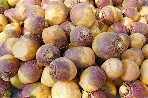 6 Winter Root Vegetables You Should Know