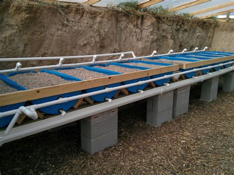Walipini Using Barrels Aquaponics Aquaponics System Backyard
